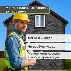 Панель Docke СТАНДАРТ АЛТАЙ 1196х426мм 0.44м2  — Графит